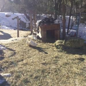 Meet your Posher, Rory